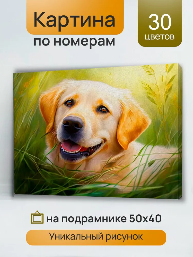 7135758032