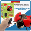 bondibon_vv5910_bozhya_korovka_2669430_1