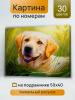 ce2785e97ed839673159a0c4d3abd9c3