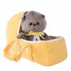 7339324_1_basik-baby-v-lyulke-bb-002-razmer-20-sm
